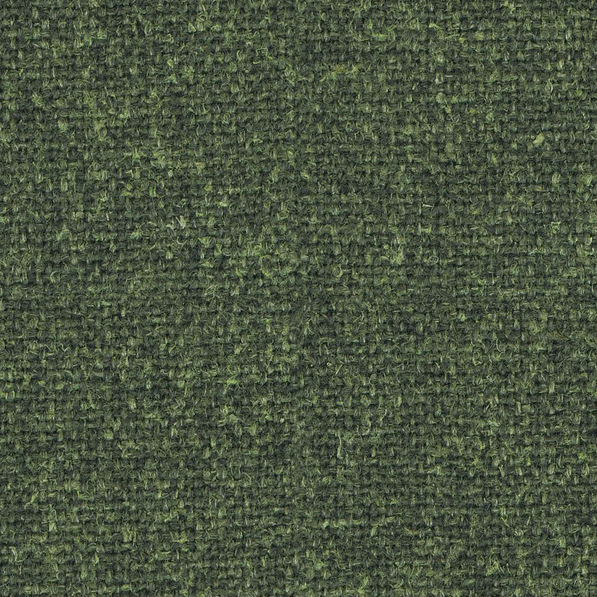 Hemp