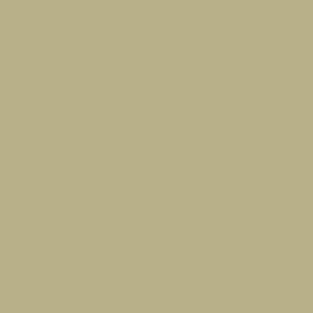 HPL Unilin Lichen Green U817 staal