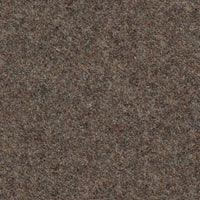 facet-shitake124.jpg