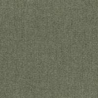 orion-turtle88.jpg