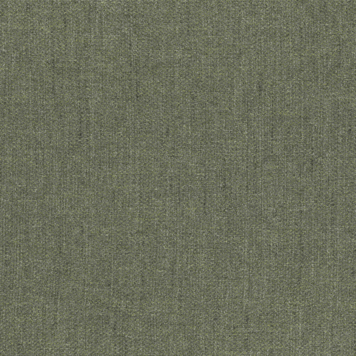Orion turtle88 fabric swatch